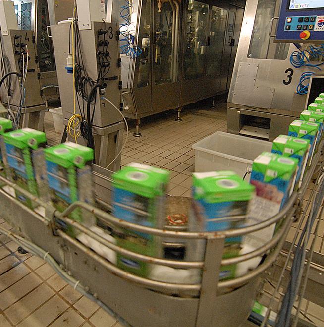 Il latte fa bene ad Arborea, su il fatturato 
