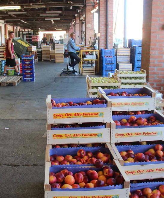 Festa a 5 stelle al mercato ortofrutticolo