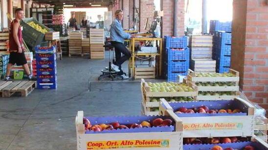 Festa a 5 stelle al mercato ortofrutticolo
