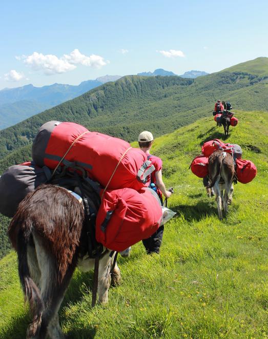 Dal Passo Pradarena alla costa ligure con cinque asinelle