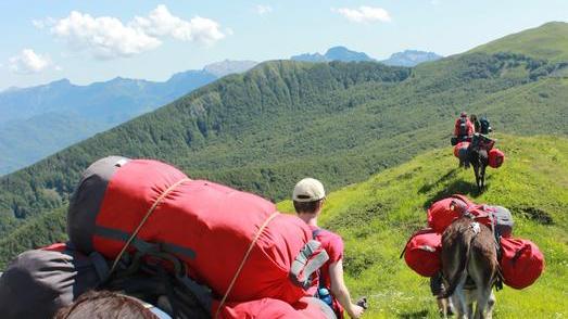 Dal Passo Pradarena alla costa ligure con cinque asinelle