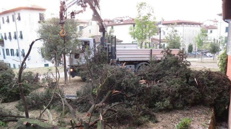 L’Orto botanico riapre martedì 1 luglio