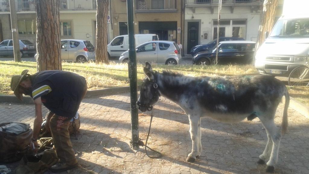 Dal Papa con l’asino, denunciato per maltrattamenti a Viareggio