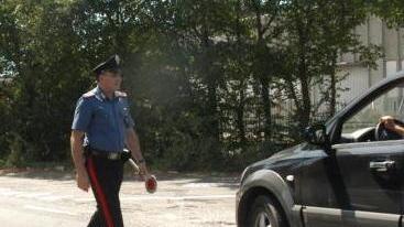 Spaccia cocaina nel bosco arrestato, patteggia 8 mesi