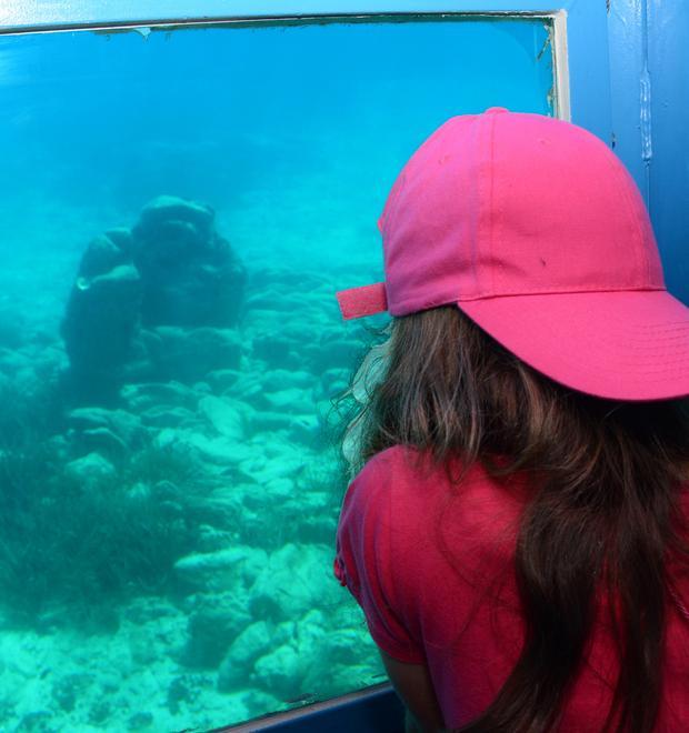 Sul sottomarino giallo a caccia di emozioni 