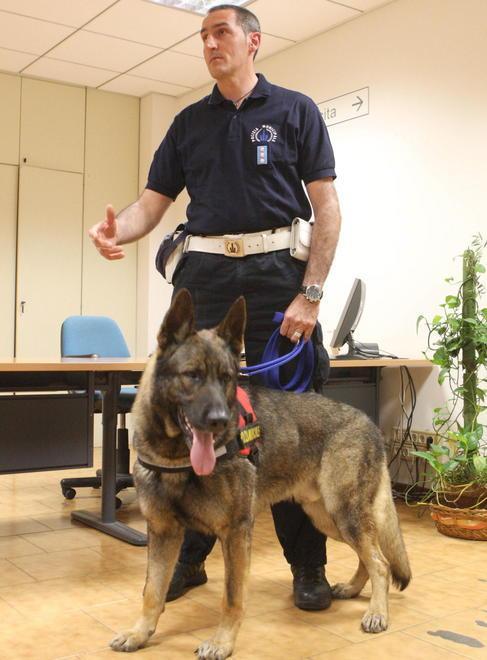  Il cane poliziotto Duca ritrova due ragazzine disperse 