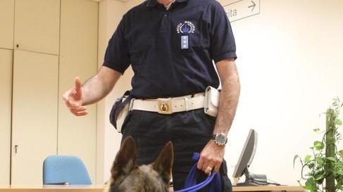 Il cane poliziotto Duca ritrova due ragazzine disperse