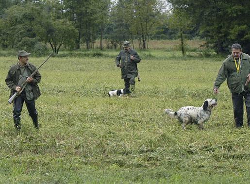 Oltre diecimila abbattimenti a Castelfranco 