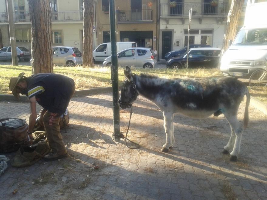 Sequestrato l’asino al clochard 