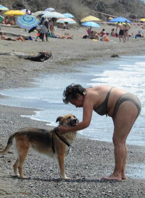 Il Comune apre una spiaggia per cani