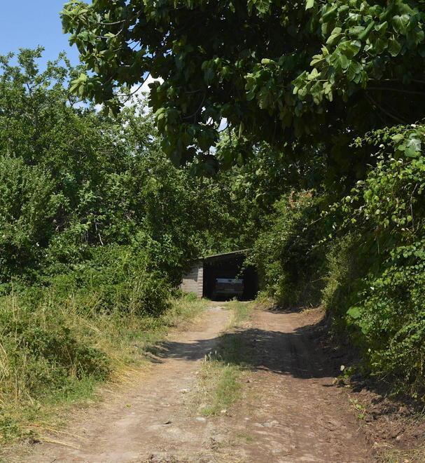 Travolto dalla sua auto Schiacciato contro l’albero 