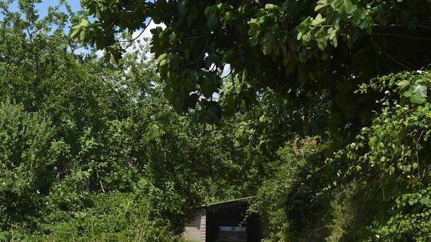 Travolto dalla sua auto Schiacciato contro l’albero