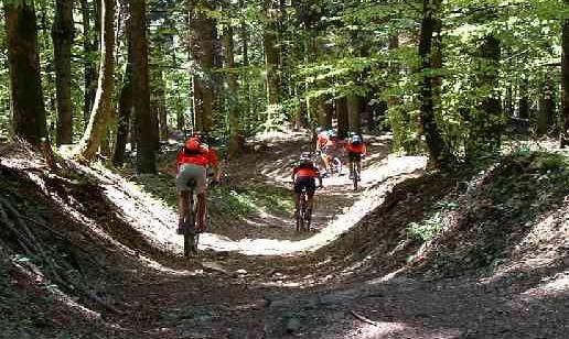 Escursione in bicicletta tra boschi, borghi e castelli