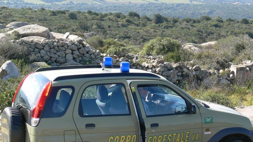 La scuola forestale si farà a Nuoro