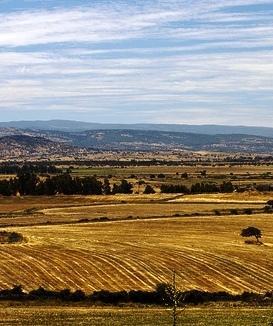 Coldiretti, ai raggi X la nuova Pac e le politiche della Ue 