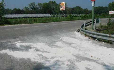 Auto esce di strada Feriti due bimbi di 4 anni 