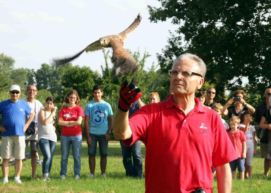 Cinque gheppi liberati dalla Lipu