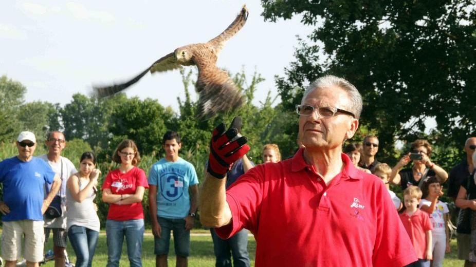 Cinque gheppi liberati dalla Lipu