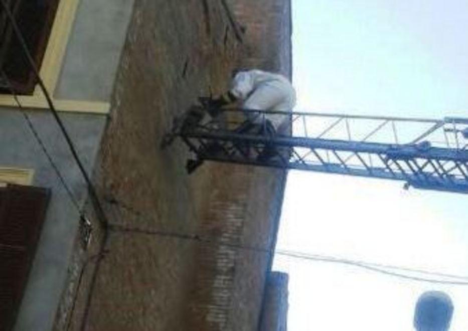 Il centro di Comacchio è stato invaso dalle api 