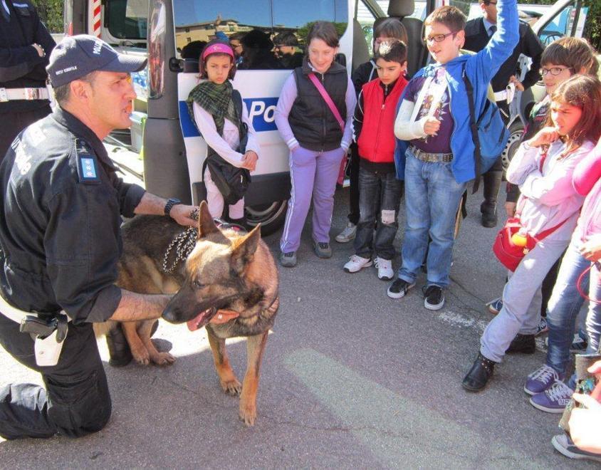 Esperto in ricerche e in stupefacenti E’ celebre come Rex