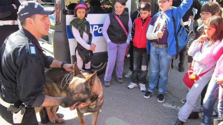Esperto in ricerche e in stupefacenti E’ celebre come Rex