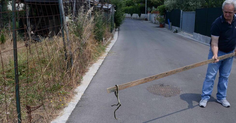 Topi e serpenti in via Tobagi
