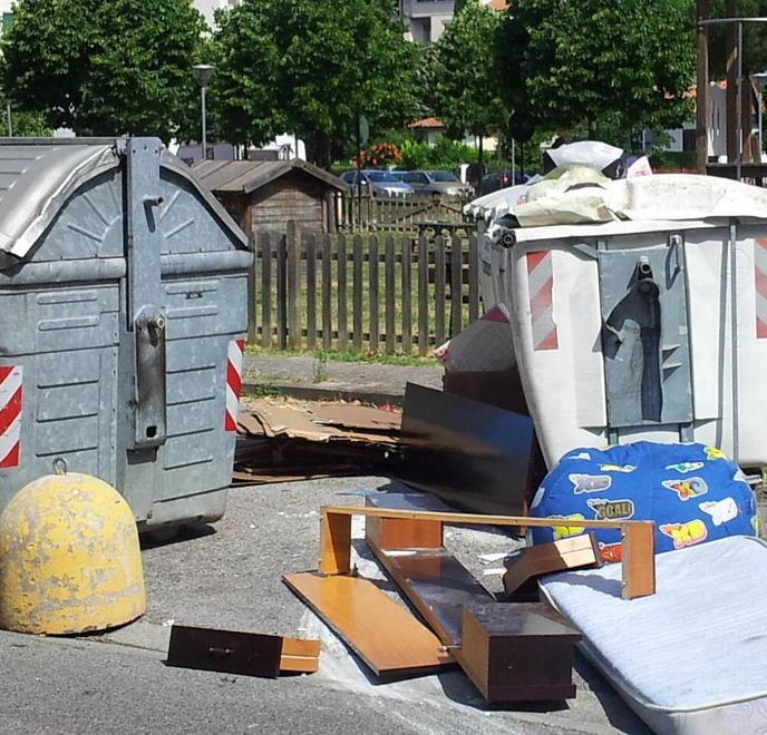 «Sì alle telecamere Cassonetti vigilati contro chi inquina» 