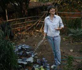 Multe per chi innaffia fuori orario 