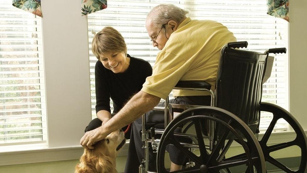 Anziani soli e fragili: una mappa dei casi e un servizio di aiuto 