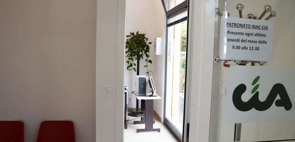 Agricoltori soddisfatti La produzione di frutta è buona 