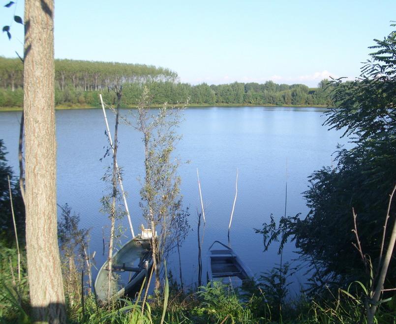 Viadana chiede alla Bacchi 323mila euro di rimborso 