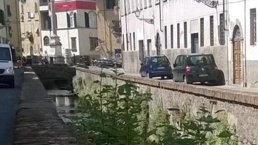 I commercianti chiedono la pulizia del fosso