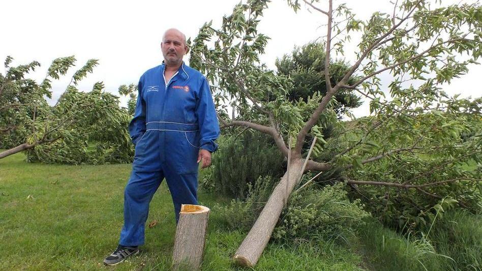 Segano 14 alberi in un’azienda agricola