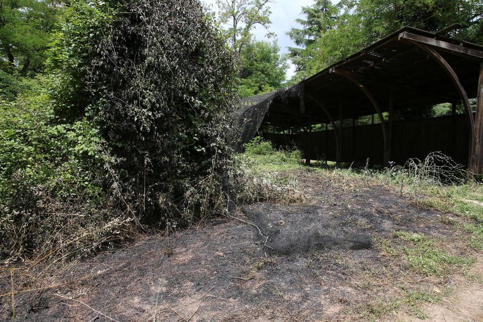 L’ex campo da golf terra di nessuno. La soluzione? Vendere 