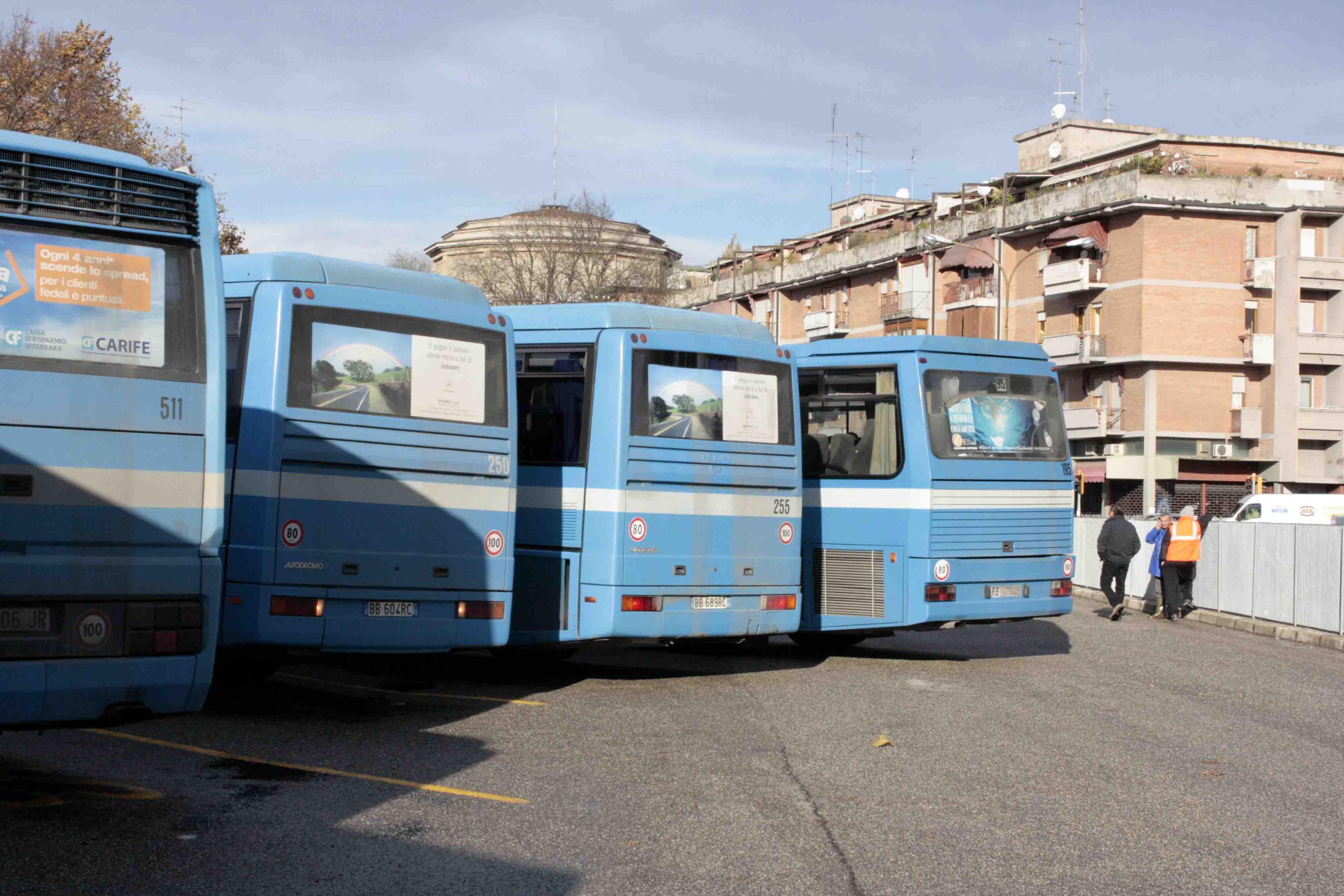 bus