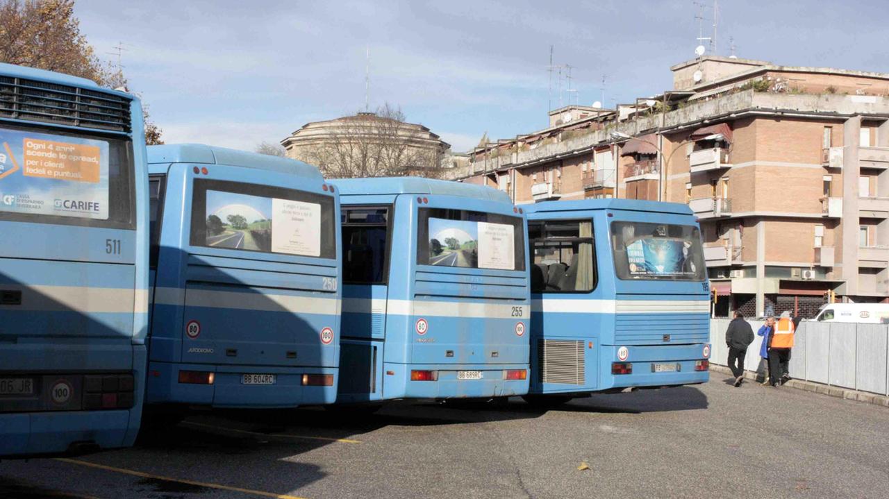 bus