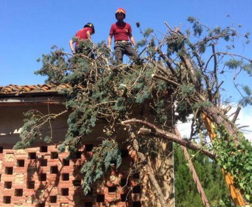 Alberi caduti sui fili della luce e un’auto finita nel fossato