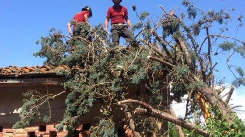 Alberi caduti sui fili della luce e un’auto finita nel fossato