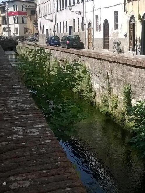 Cattivi odori dal fosso, va pulito 