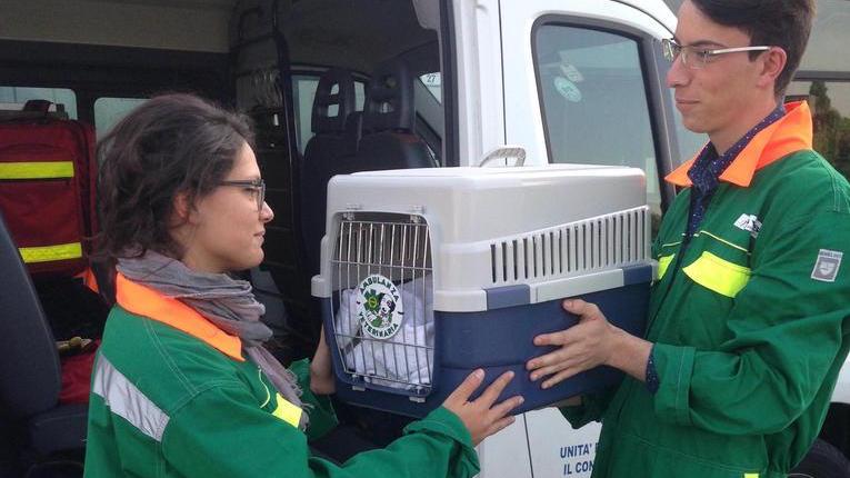 Arrivano 120 nuovi volontari per il soccorso veterinario