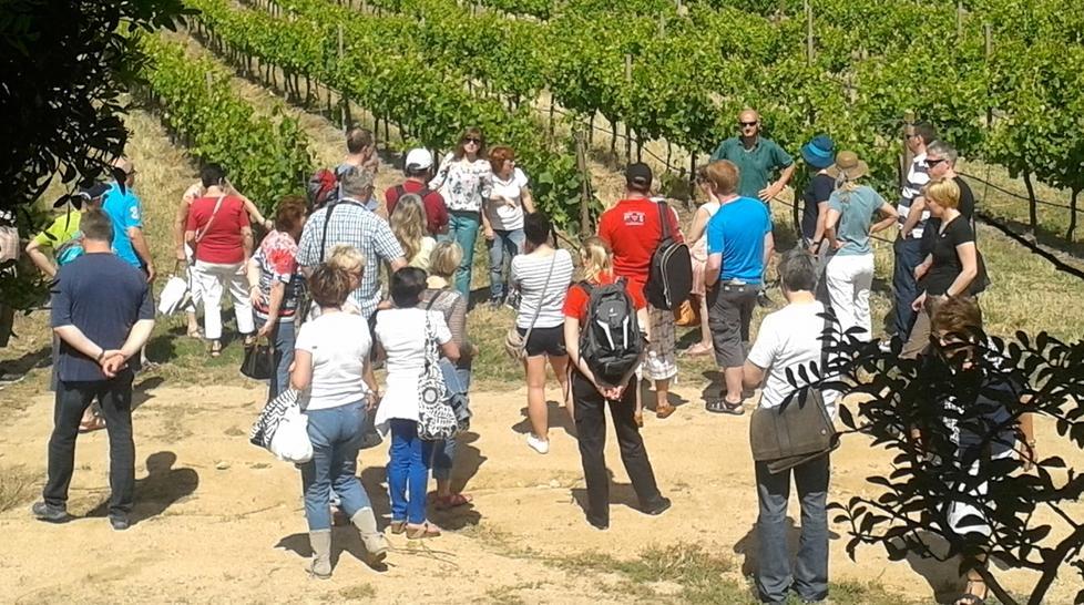 Per i turisti non c’è solo il mare A Balajana riparte “Vigne aperte”