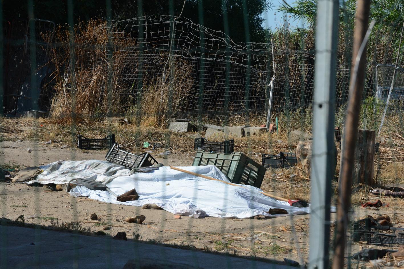 «Troppe violenze sugli animali, boicottiamo l’isola» 