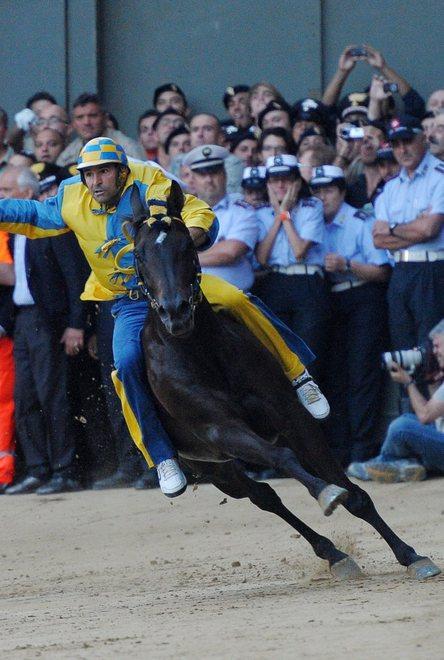 Palio, il cavallo “Istriceddu” ancora fuori perché troppo forte 