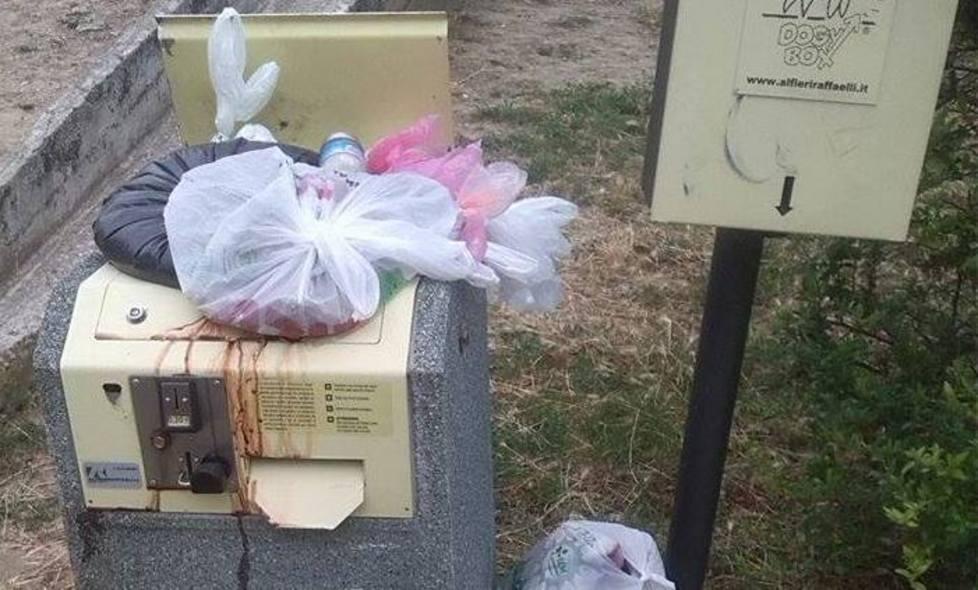 Il “dog-box” non viene svuotato