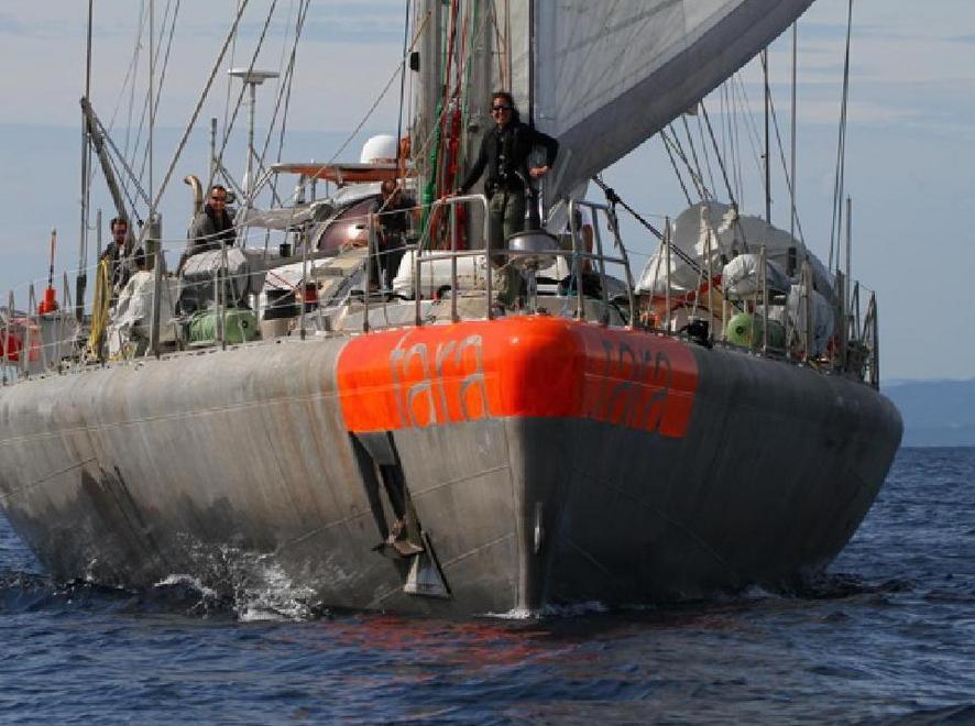 Dorgali, la nave Tara arriva al porto di Gonone 