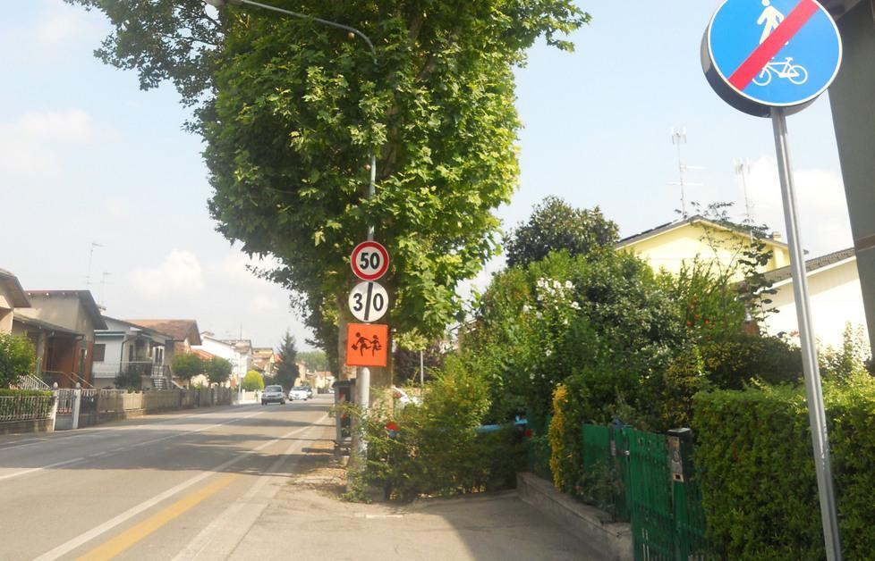 «Controllare gli alberi per evitare tragedie» 