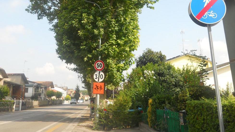 «Controllare gli alberi per evitare tragedie»