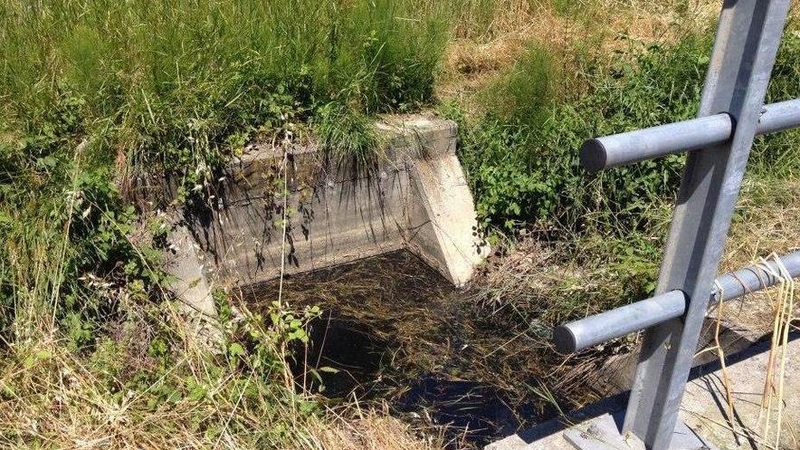Gazzata, puzza e acqua nera nei fossati