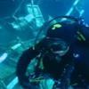Costa Concordia, il recupero: nuove immagini subacquee dei Carabinieri