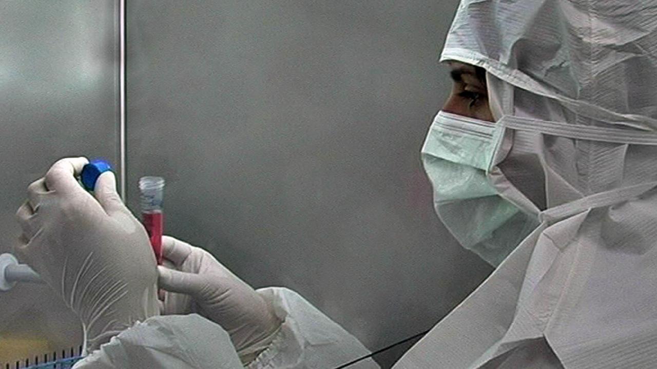 Centro Ferrari, una ricercatrice al lavoro sotto la cappa a flusso laminare